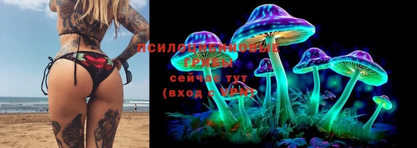 spice Армянск