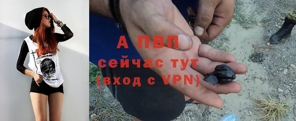 амф Аркадак