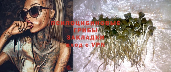 амф Аркадак