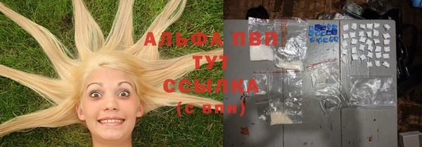 амф Аркадак