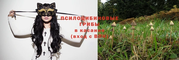 spice Армянск